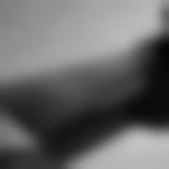 Lustmal2