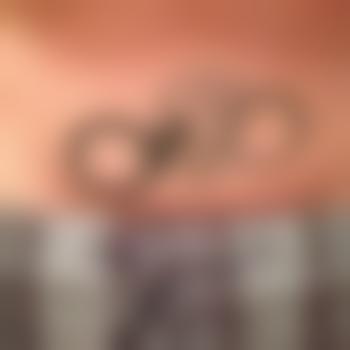 Hausfreund-1958