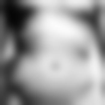 Prefectdom