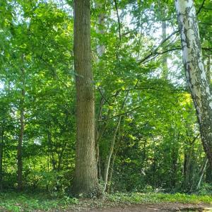 HH und S-H Hetero Sextreffen Outdoor/Parkplat