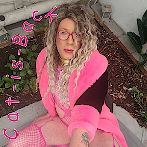 CAT-IS-BACK