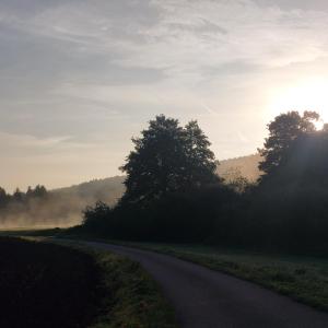 Weiden und Umgebung 