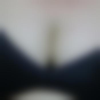 Frija