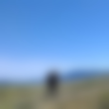 St_be