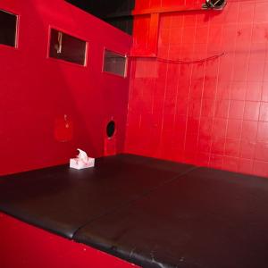 TransDay jeden Sonntag