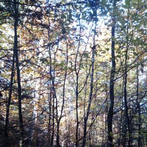 Treffen im Fichtelgebirge