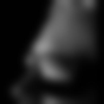 BlankerHansNF