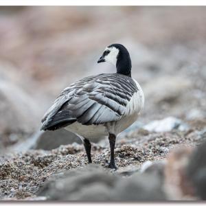 Fotogruppe OS/MS/Bi/OWL/GT