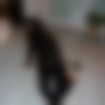 lack_heels_wk