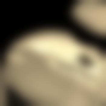 Schlampi