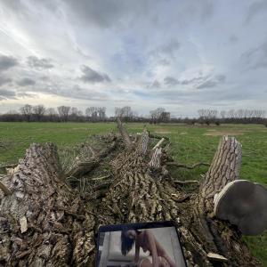 Ruiges Plätzchen mit schönem Weitblick