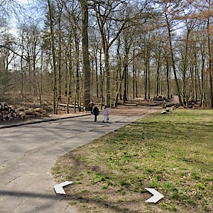 Neukloster Forst
