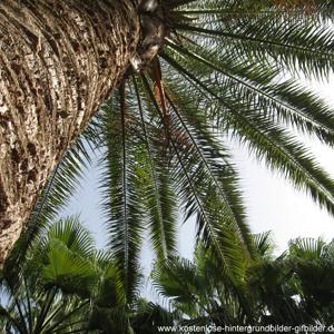 Kaufbeuren-Unkompliziert Druck abbauen