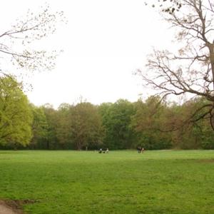 Clara-Zetkin-Park