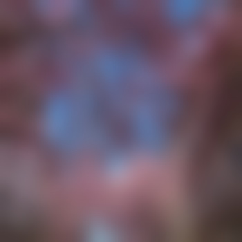 HennesIX