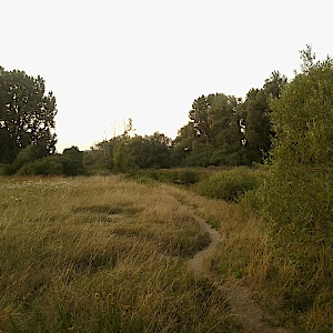 Ebing (zw. See und Main)