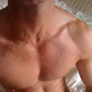 Muscl-Bottom4Bi-Tops