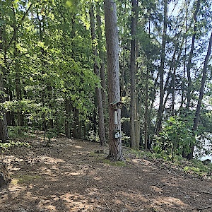 Fischbacher Teiche-Neustadt bei Coburg