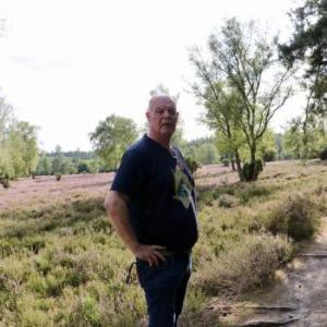 Sucheimmernoch60