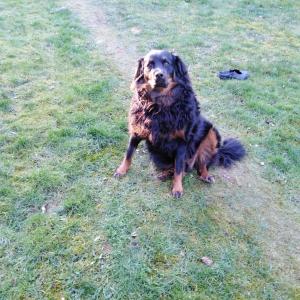 Alter ist nur eine Zahl 60+