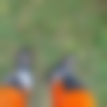 Thak