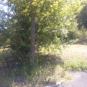 Veldensteiner forst- neudorf