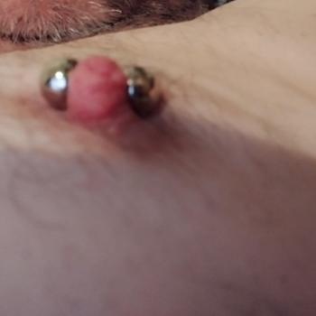 devoteStute427