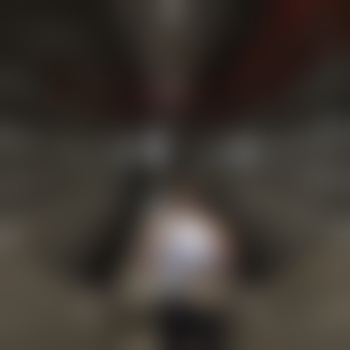 Montage1313