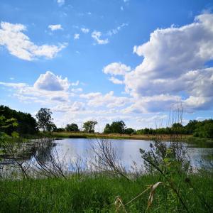 Stauweiher südlich Gera
