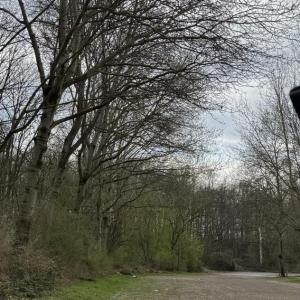 Fühlinger See P8 und P1