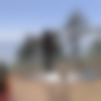 BiPaar39und46