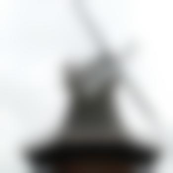 bergischlandbi