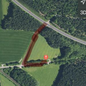 Abgelegenes Waldstück