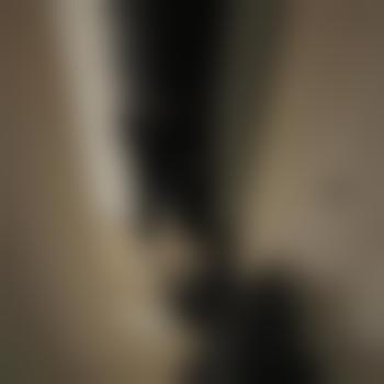 Er_MG