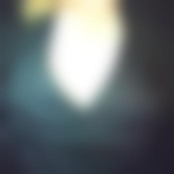 Hotneveryvettepayfor