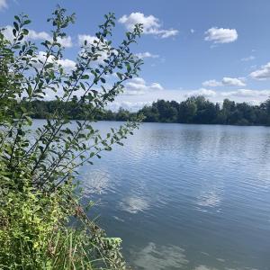 Mörfelden Bornbruchsee