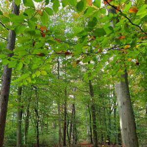 Bremerhaven und Umgebung