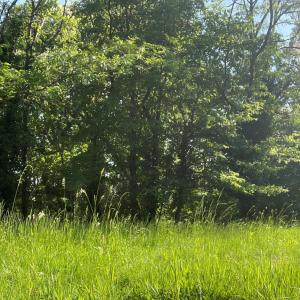 Wasser - Reservoir unterhalb Spitzfelsen / Wolfach