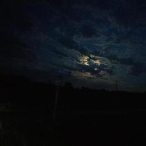 wareznrw