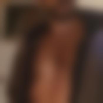 NimmersatterHengst79