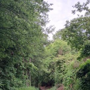 A45 Schwerte/Ergste Pendlerparkplatz-Bank