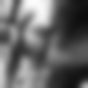 Rene_46_