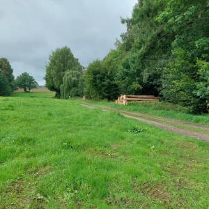 Wald zwischen Ebersbach und Kottmarsdorf