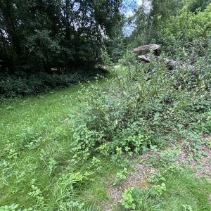 Waldeck bei Raststätte Wunnenstein