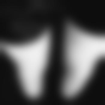 bj_hj_96