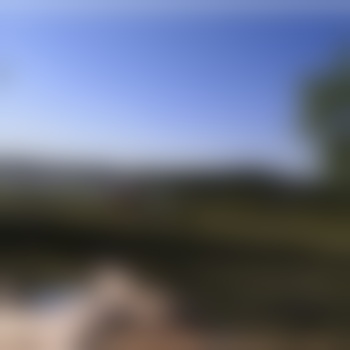 Arne_82