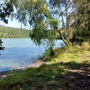Wippra - Harzer Naturistenstieg