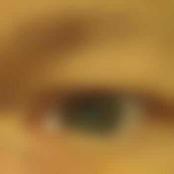 NDHPeterPanNDH