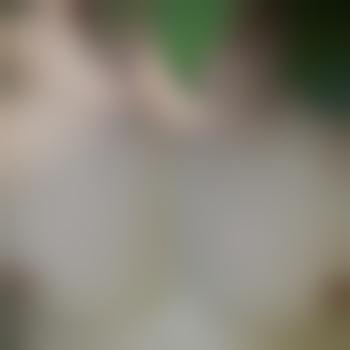 Alexxx38