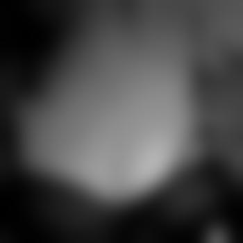 ZweiHamburgerMitte30